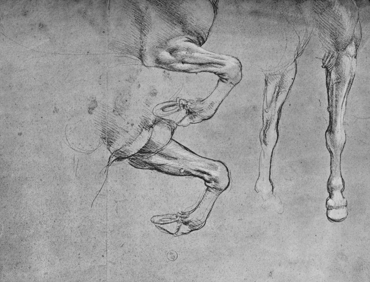 Atların Bacakları Üzerine Dört Çalışma, c1480 1945 by Leonardo da Vinci
