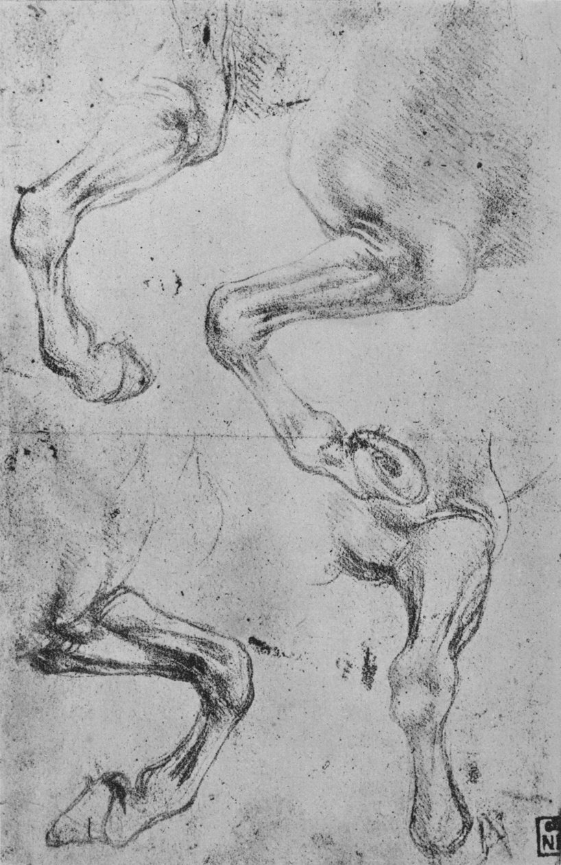 Atların Bacakları Üzerine Dört Çalışma, c1480 1945 by Leonardo da Vinci