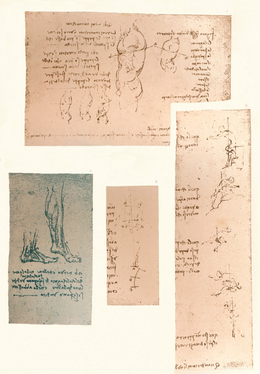İnsan figürünün hareketlerinin teorisini gösteren dört çizim, c1472-c1519 1883 by Leonardo da Vinci