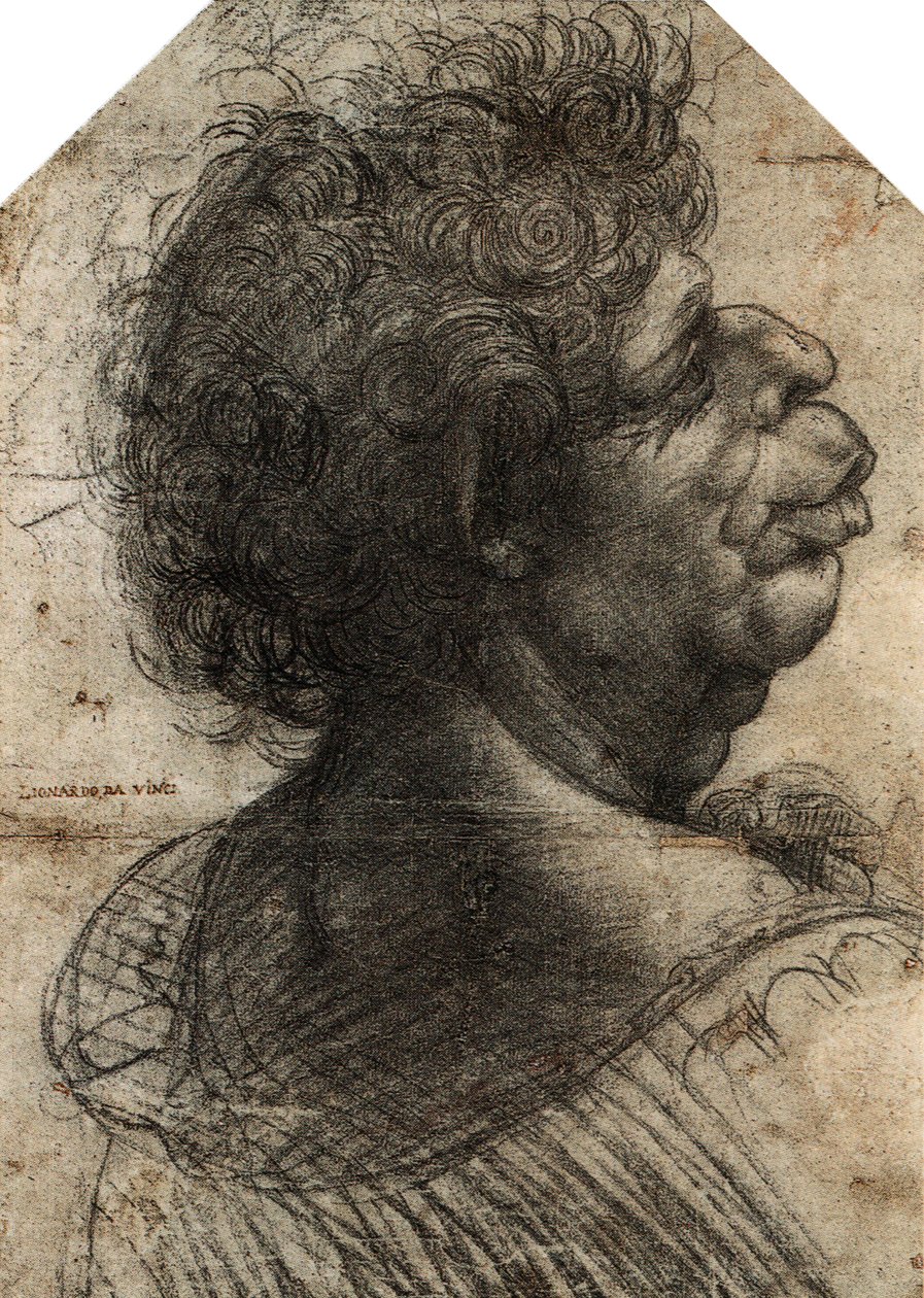 by Leonardo da Vinci