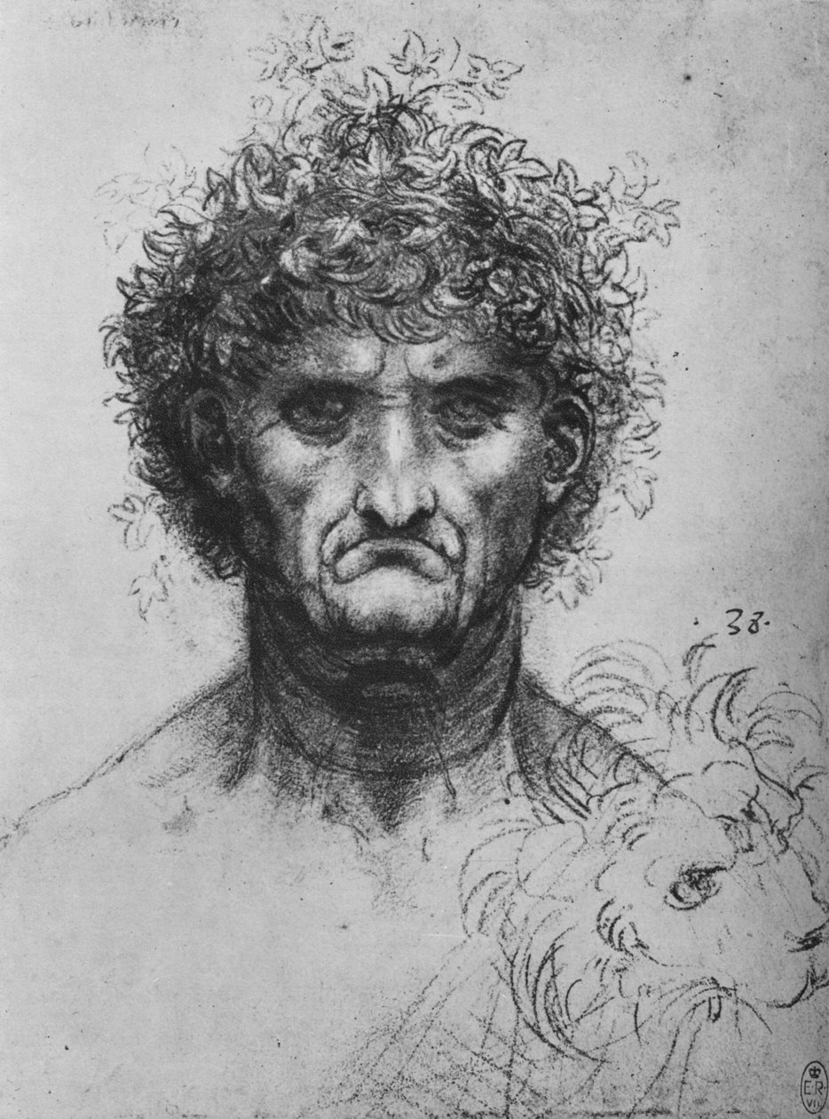 Çelenk Takan Yaşlı Bir Adamın Tam Yüzü, c1480 1945 by Leonardo da Vinci