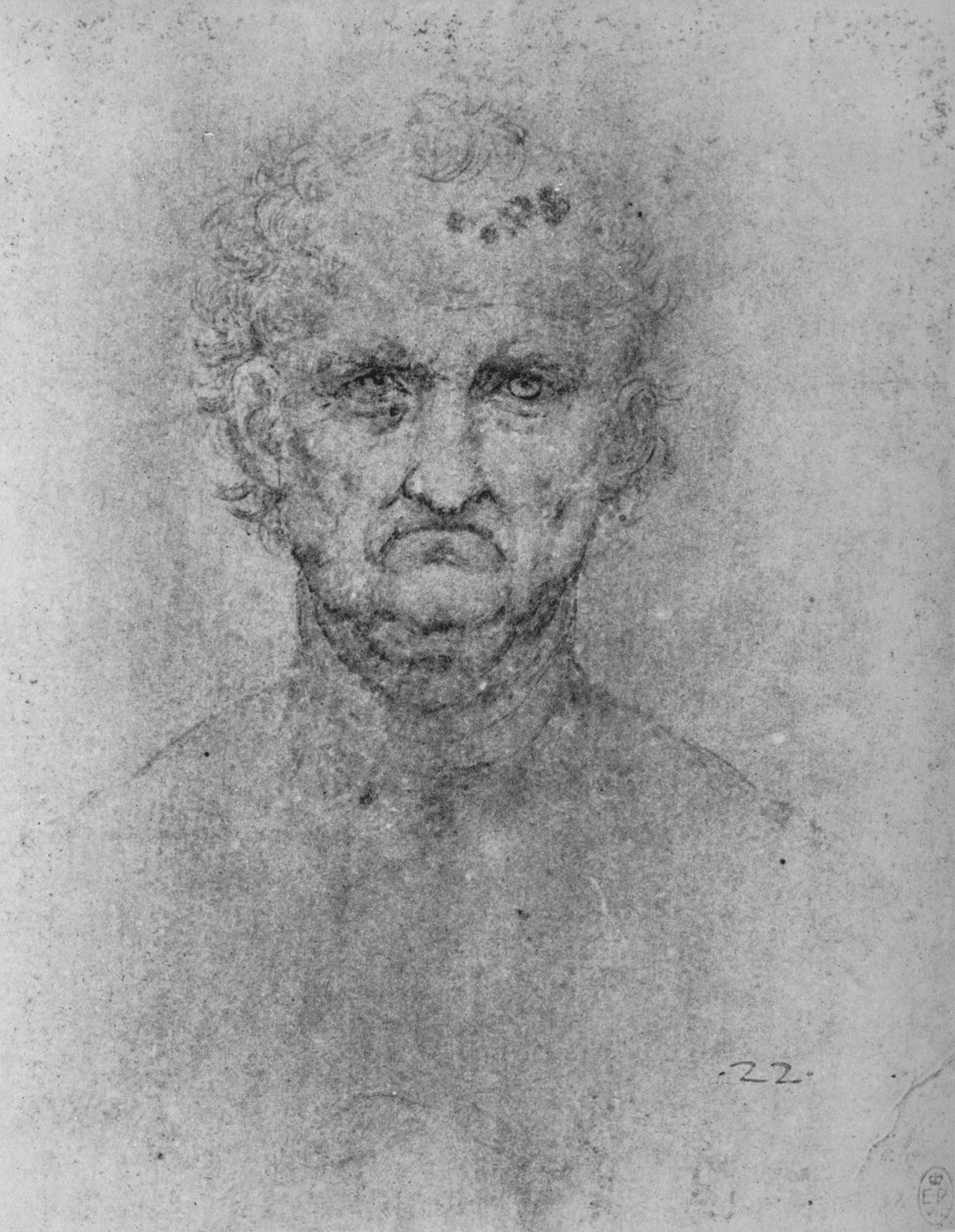 Yaşlı Bir Adamın Tam Yüzü, c1480 1945 by Leonardo da Vinci