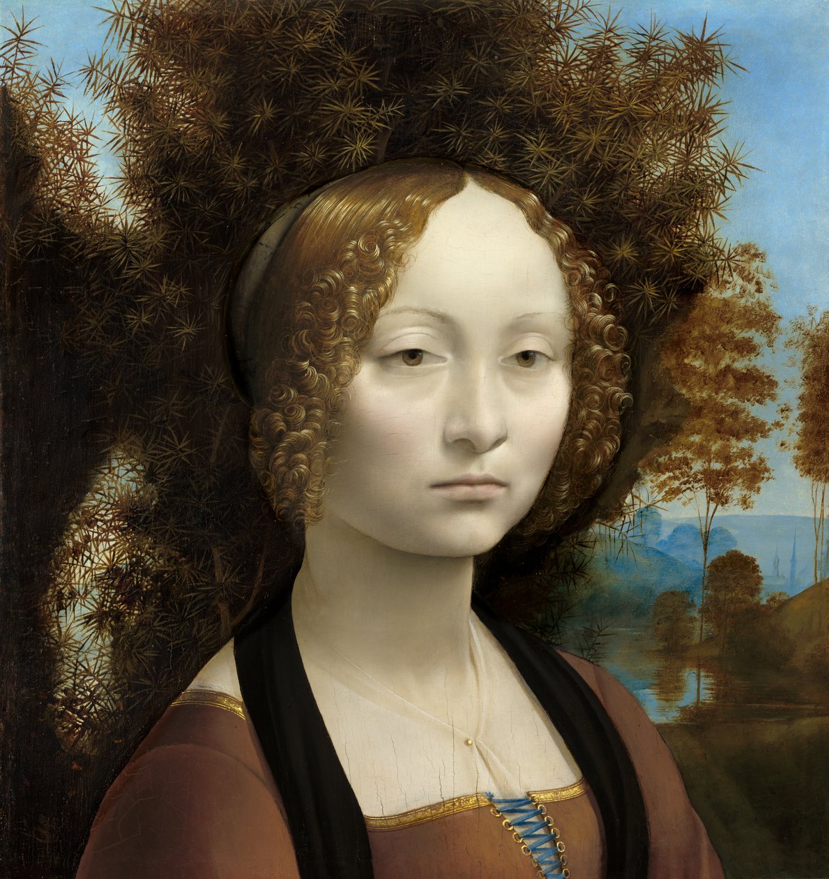 Ginevra de Nefret by Leonardo da Vinci