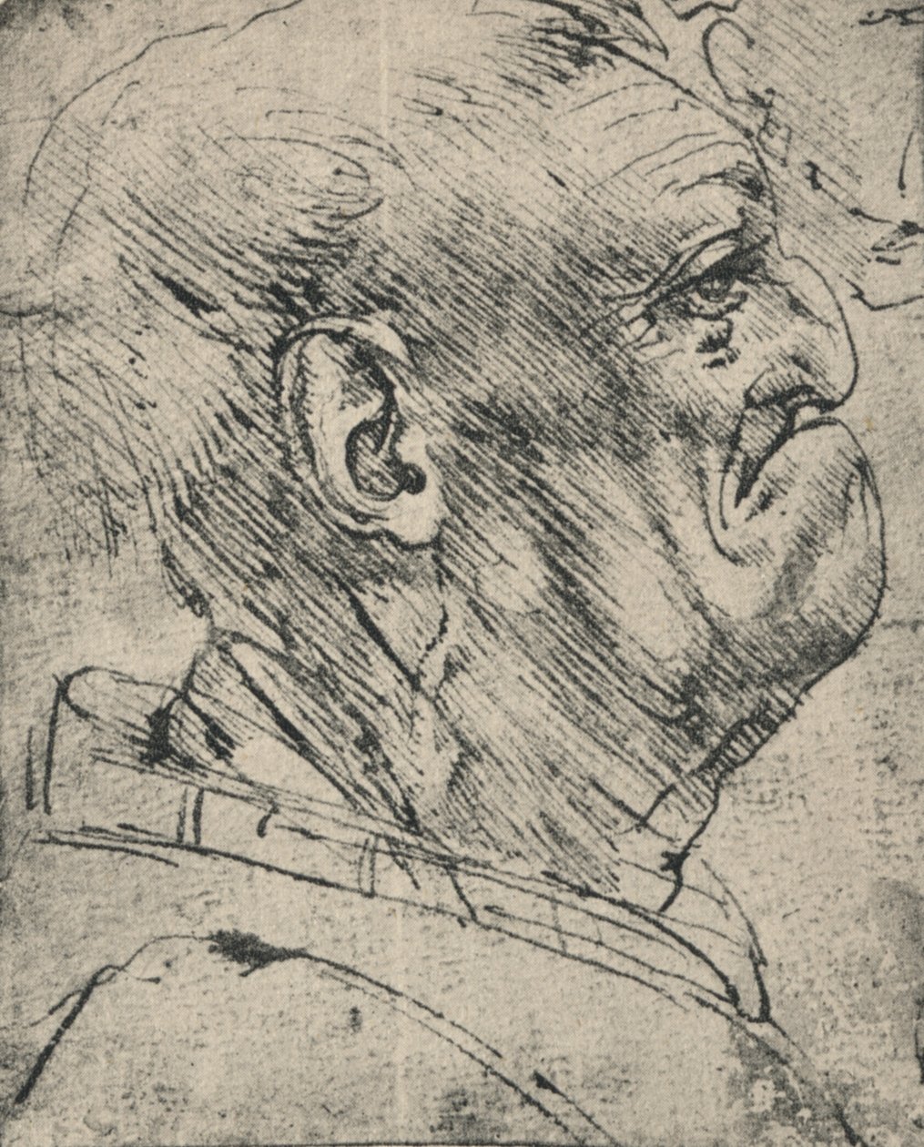 Sağdaki Bir Adamın Grotesk Profili, c1480 1945 by Leonardo da Vinci