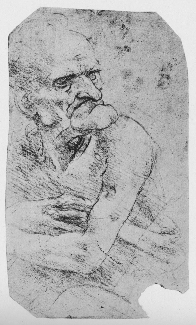 Belirgin Çeneli Yaşlı Bir Adamın Yarım Boy Karikatürü, c1480 1945 by Leonardo da Vinci