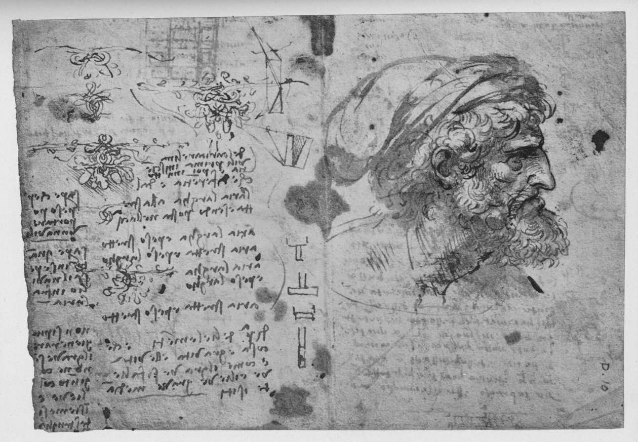Sakallı Bir Adamın Başı ve Omuzları, c1480 1945 by Leonardo da Vinci