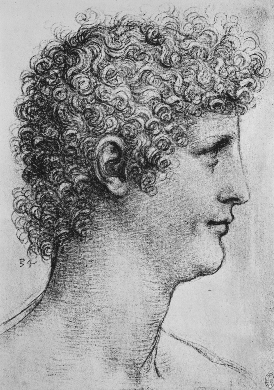 Sağdaki Profilde Bir Gençliğin Başkanı, c1480 1945 by Leonardo da Vinci