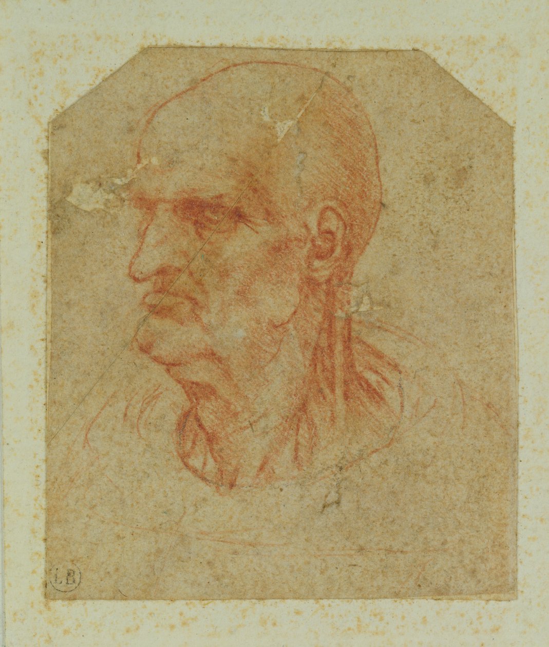 Sakalsız yaşlı bir adamın başı, sol profil (kağıt üzerinde kırmızı tebeşir) by Leonardo da Vinci