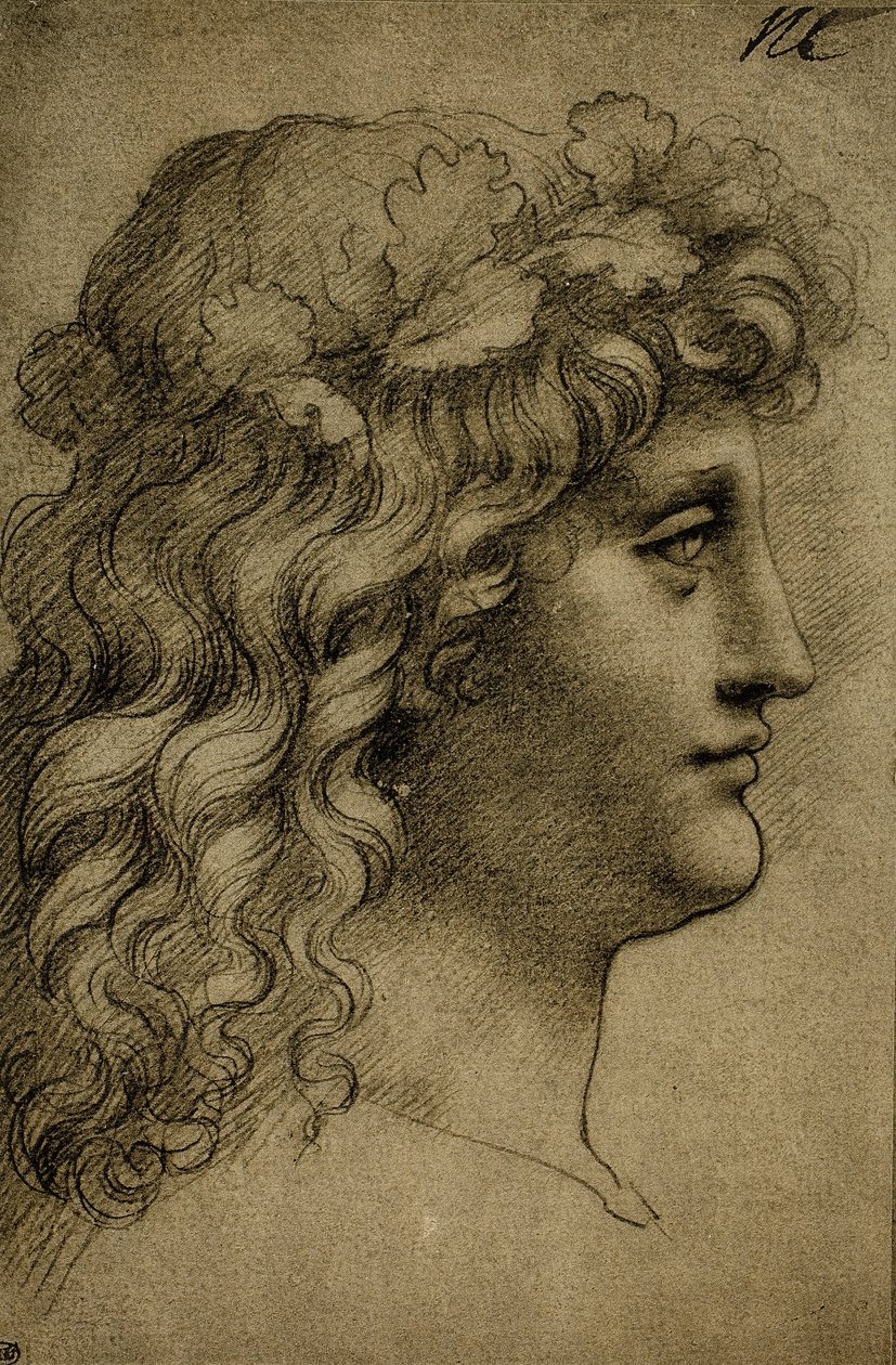 Genç bir adamın başı; Leonardo da Vinci