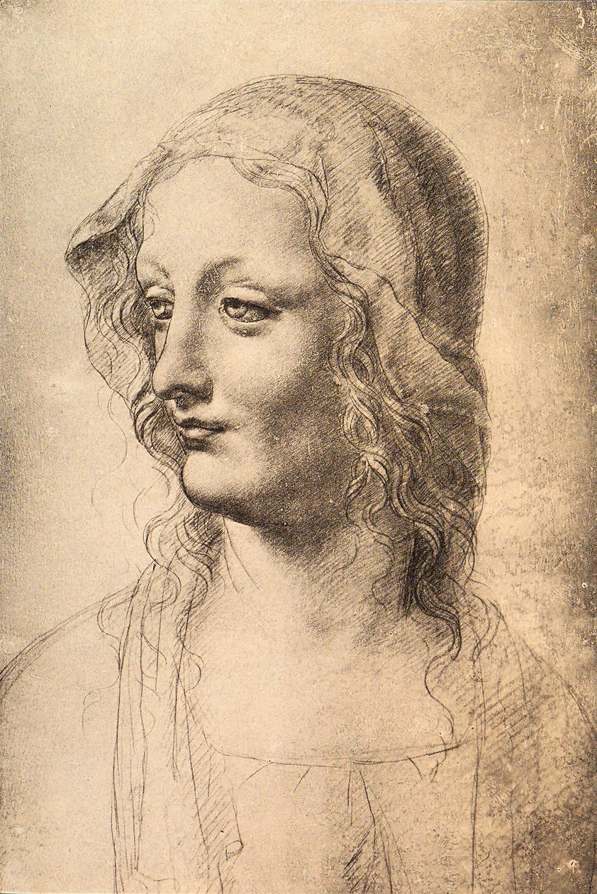Leonardo da Vinci tarafından çizilen genç bir kadının başı, Çizimler ve Baskılar Kabinesi, Uffizi, Floransa by Leonardo da Vinci