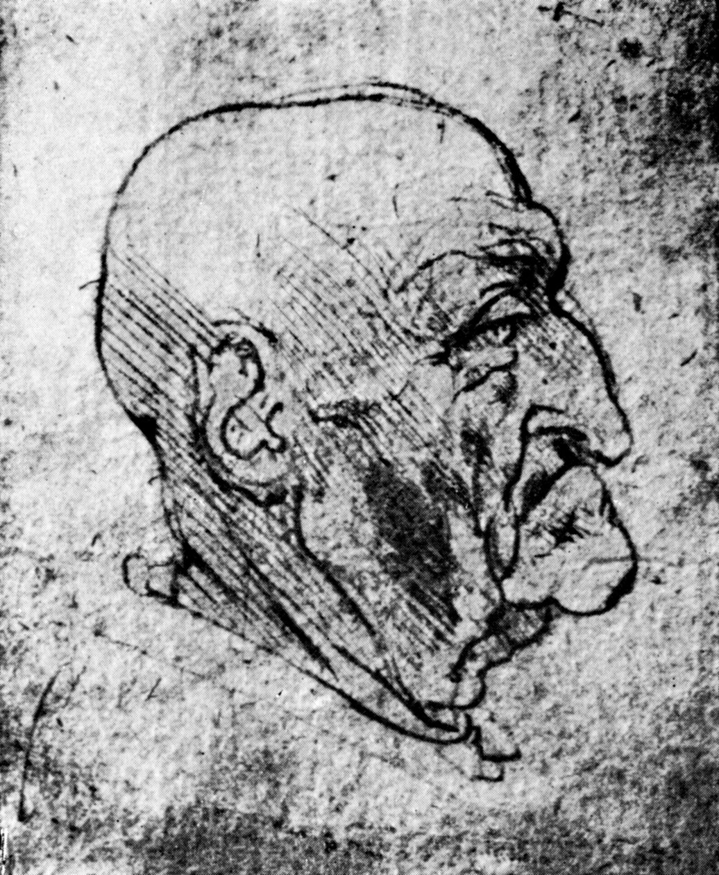 Yaşlı Bir Adamın Başı, 1913 by Leonardo da Vinci