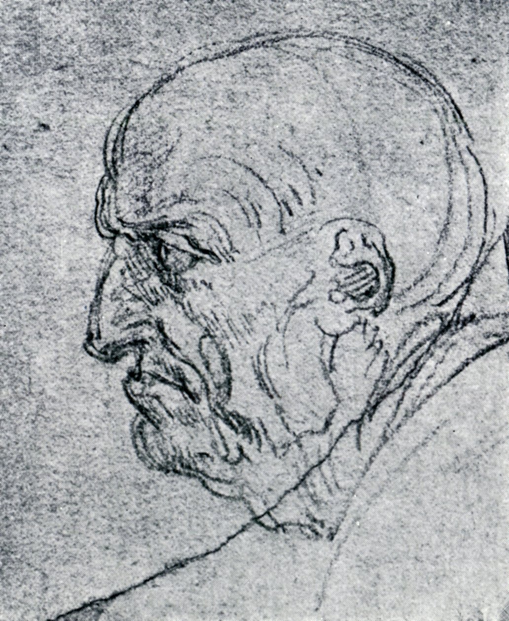 Yaşlı Bir Adamın Başı, 1913 by Leonardo da Vinci