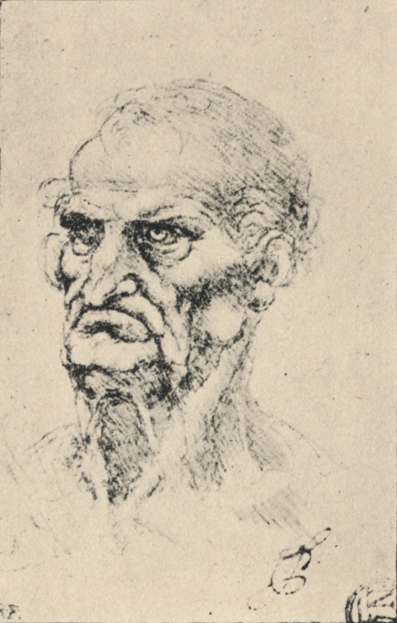 Üç Çeyrek Solda Yaşlı Bir Adamın Başı, c1480 1945 by Leonardo da Vinci