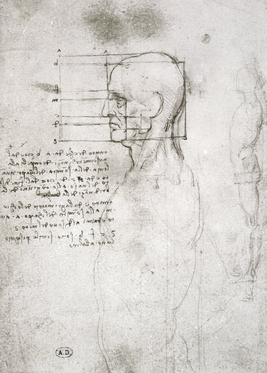 Profildeki Yaşlı Bir Adamın Başkanı, faks kopyası (kağıt üzerine kalem ve mürekkep) by Leonardo da Vinci