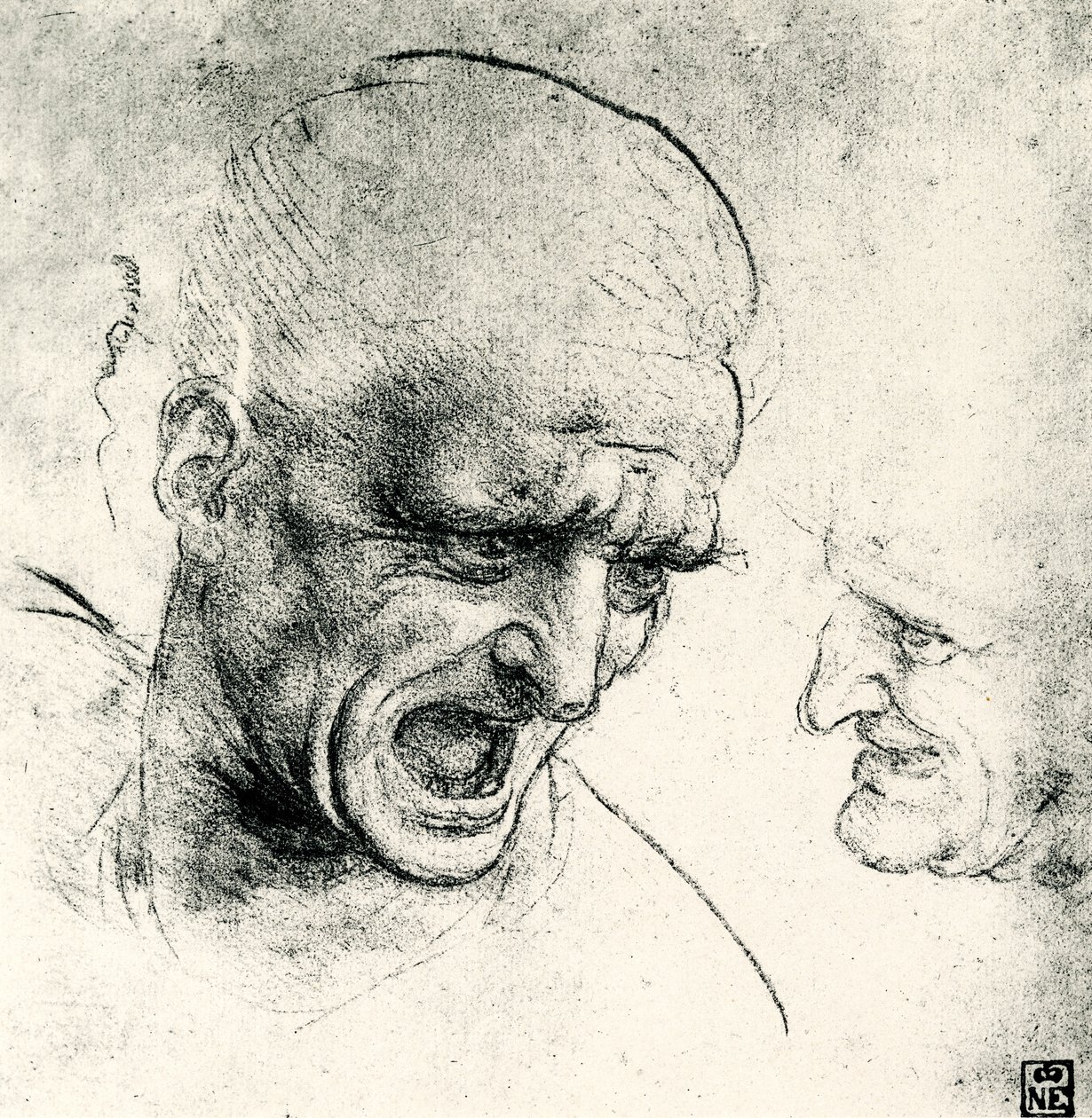 kafa çalışmaları by Leonardo da Vinci
