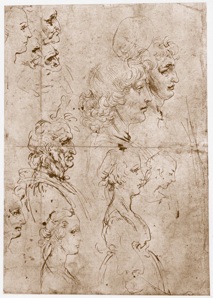 Kız, Genç ve Yaşlı Adam Başkanları, 1478-1480 by Leonardo da Vinci