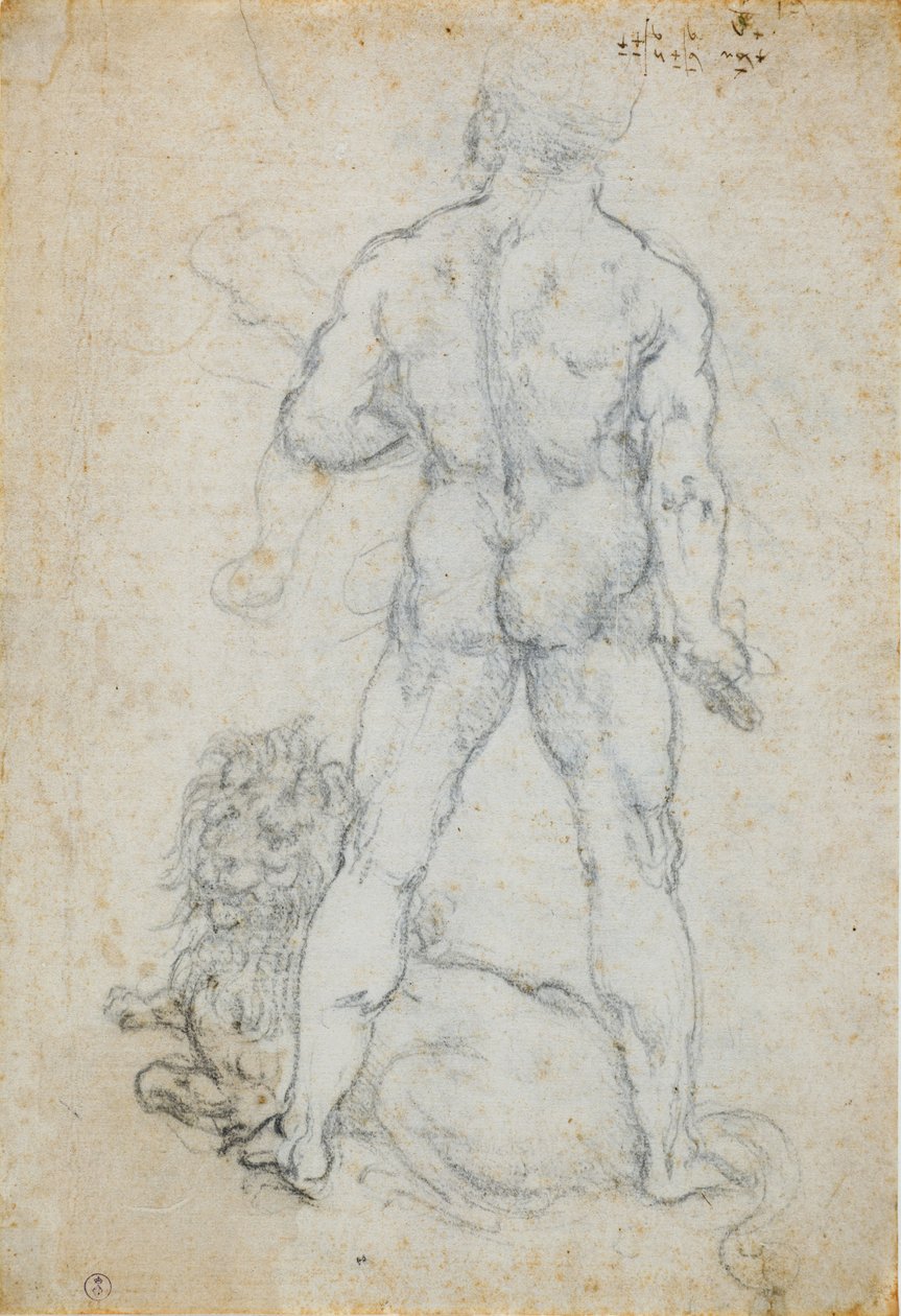 Herkül ve Nemean aslanı, c. 1506-08 (beyaz kağıt üzerinde kömür ve metal uç) by Leonardo da Vinci