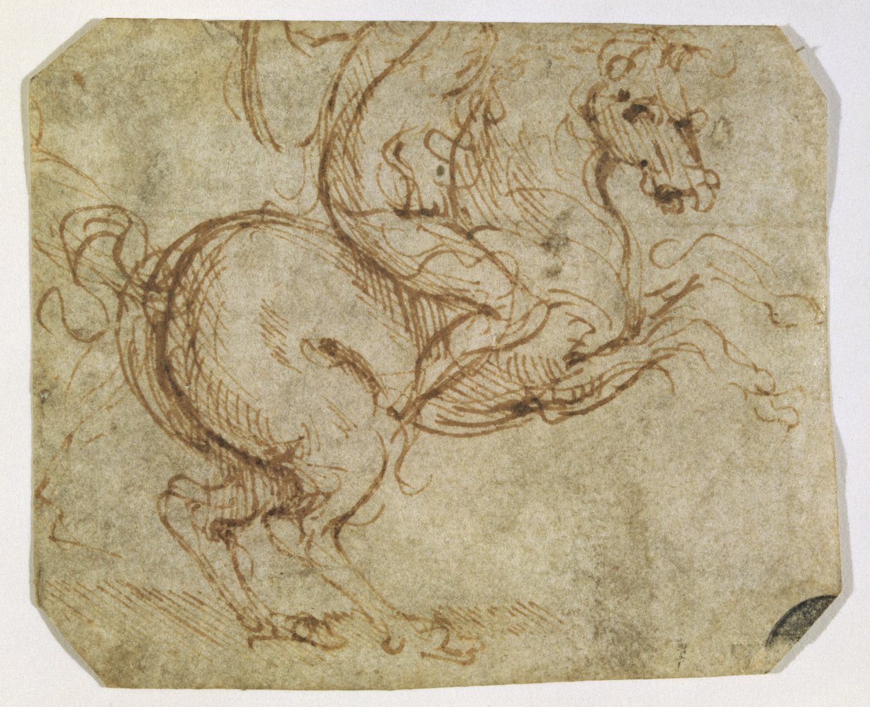 Horse and Cavalier (kağıt üzerine kalem ve mürekkep) by Leonardo da Vinci