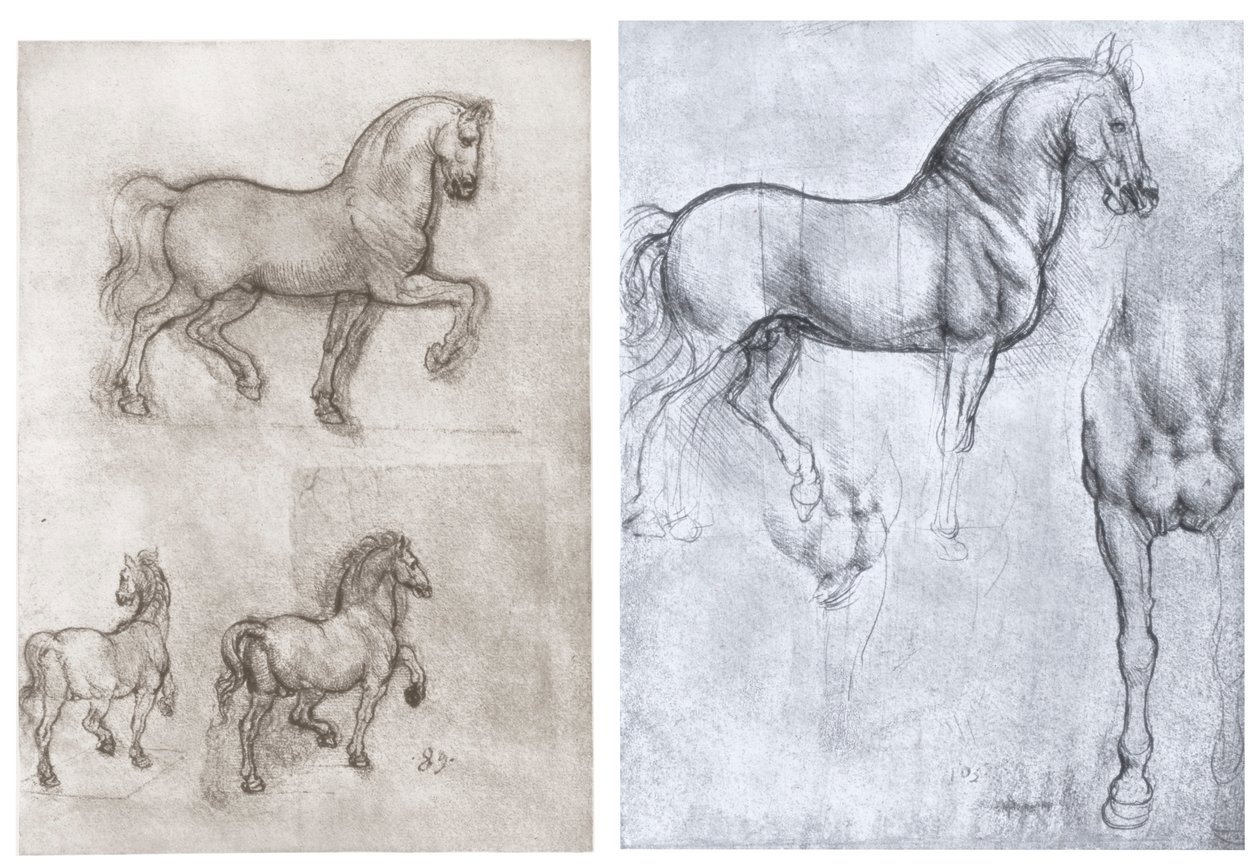 Atlar, c1490-1510 by Leonardo da Vinci