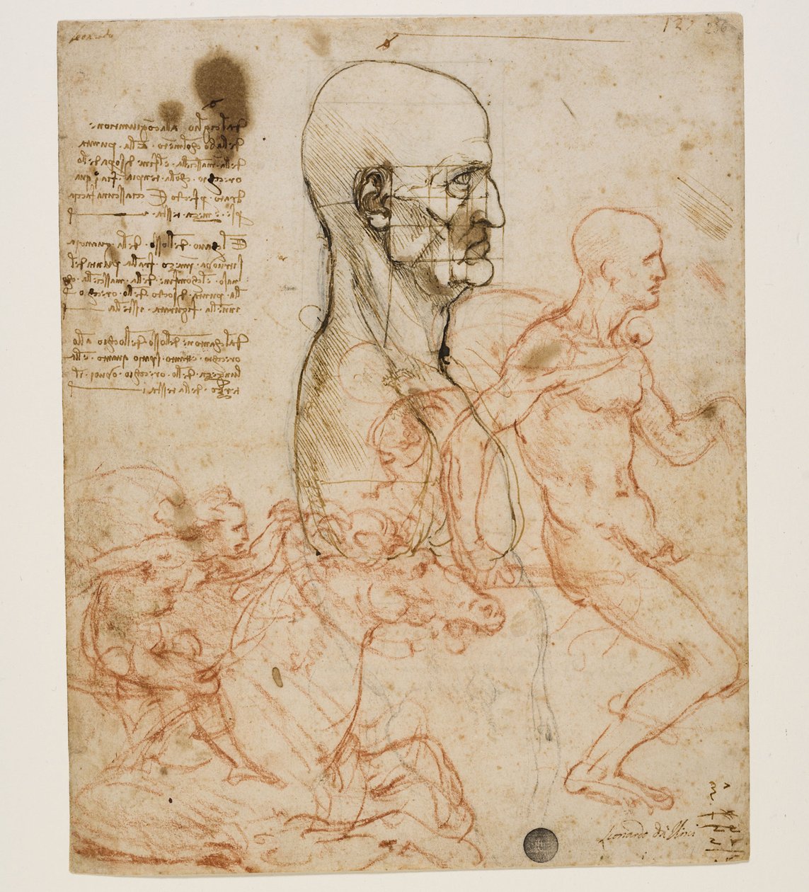 Orantı çalışması ile profilde insan büstü, c. 1490-1499. by Leonardo da Vinci