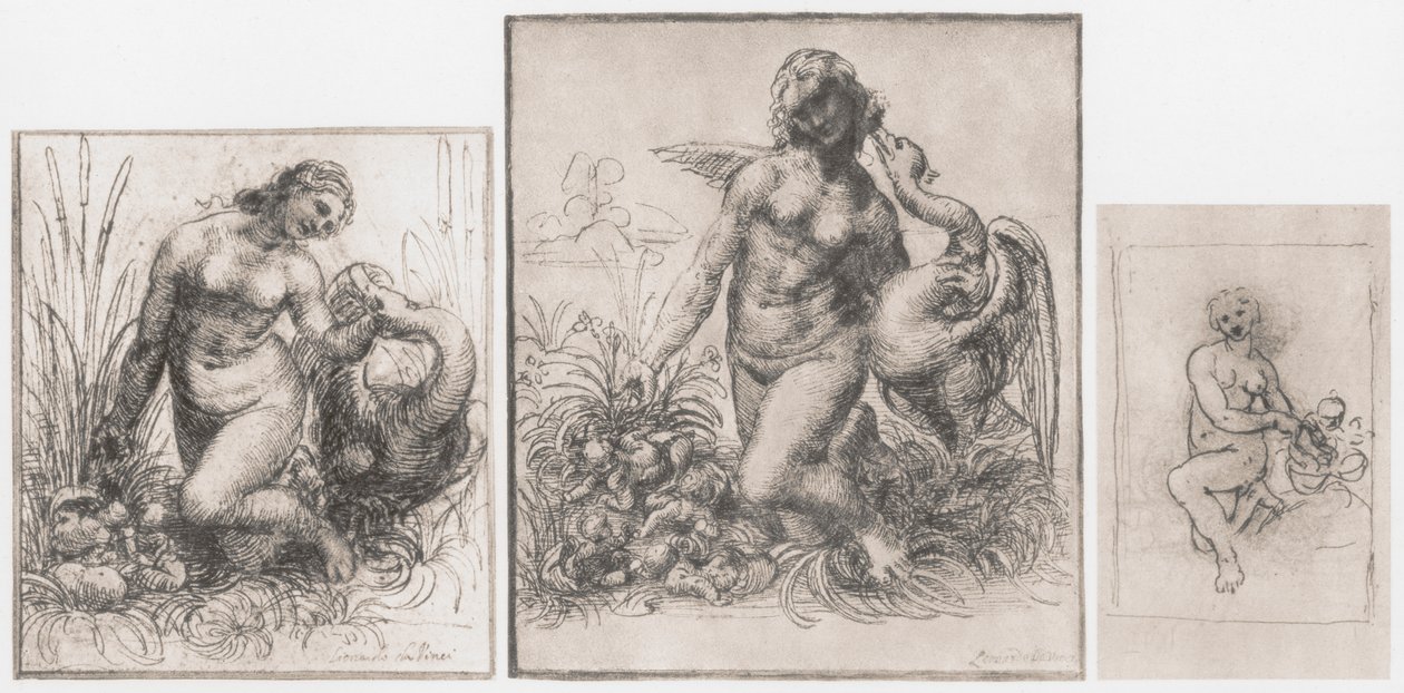 Leda ve Kuğu, c1504-1506 by Leonardo da Vinci