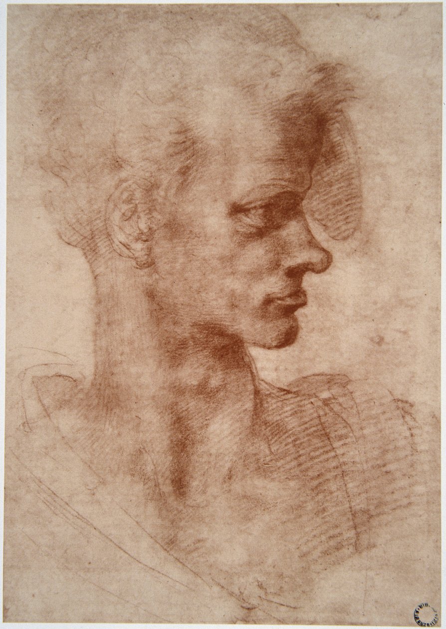 Leonardo da Vinci (Leonardo da Vinci) (1452 - 1519): Genç bir adamın karikatür portresi (Hayal edin) by Leonardo da Vinci