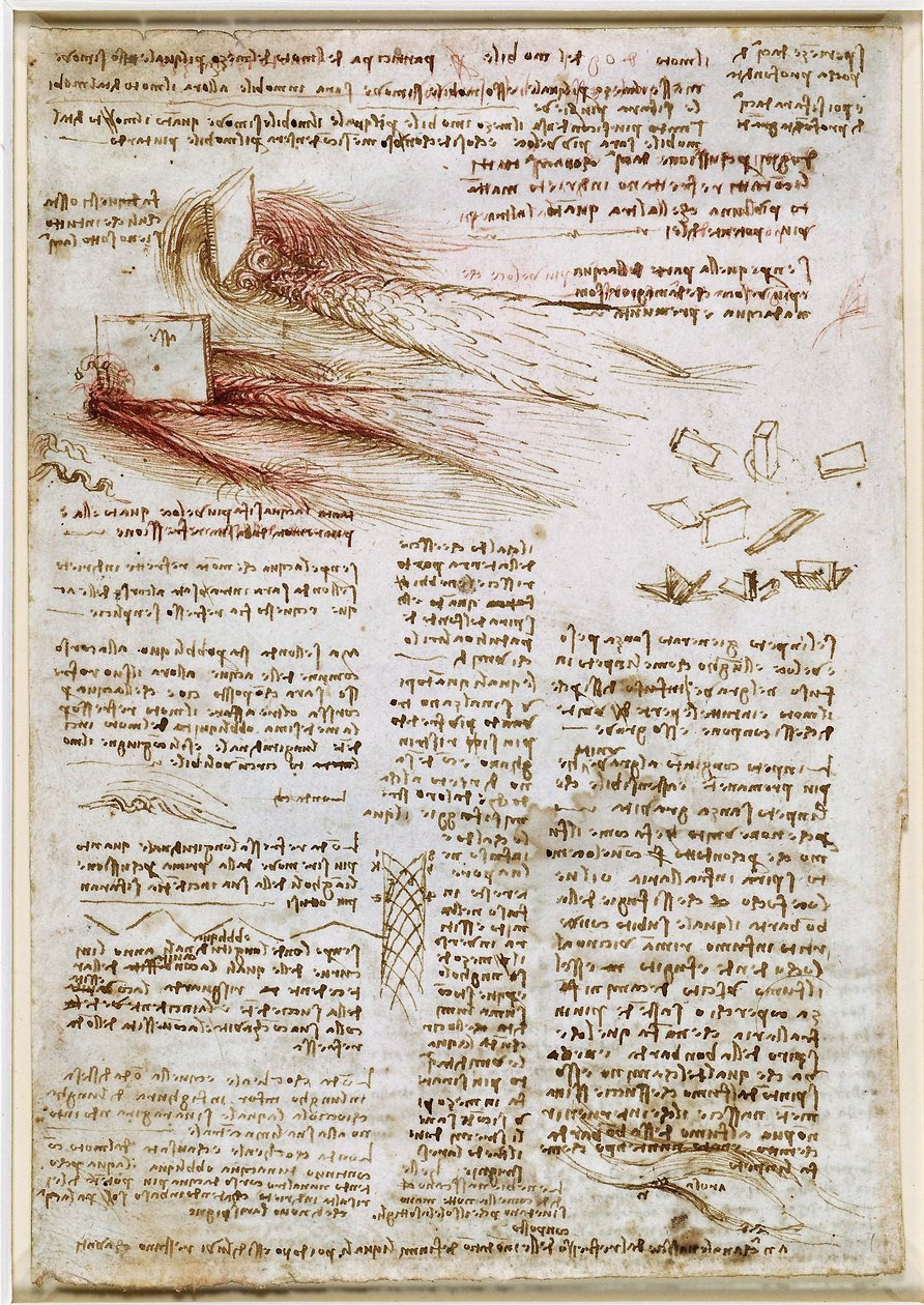  by Leonardo da Vinci