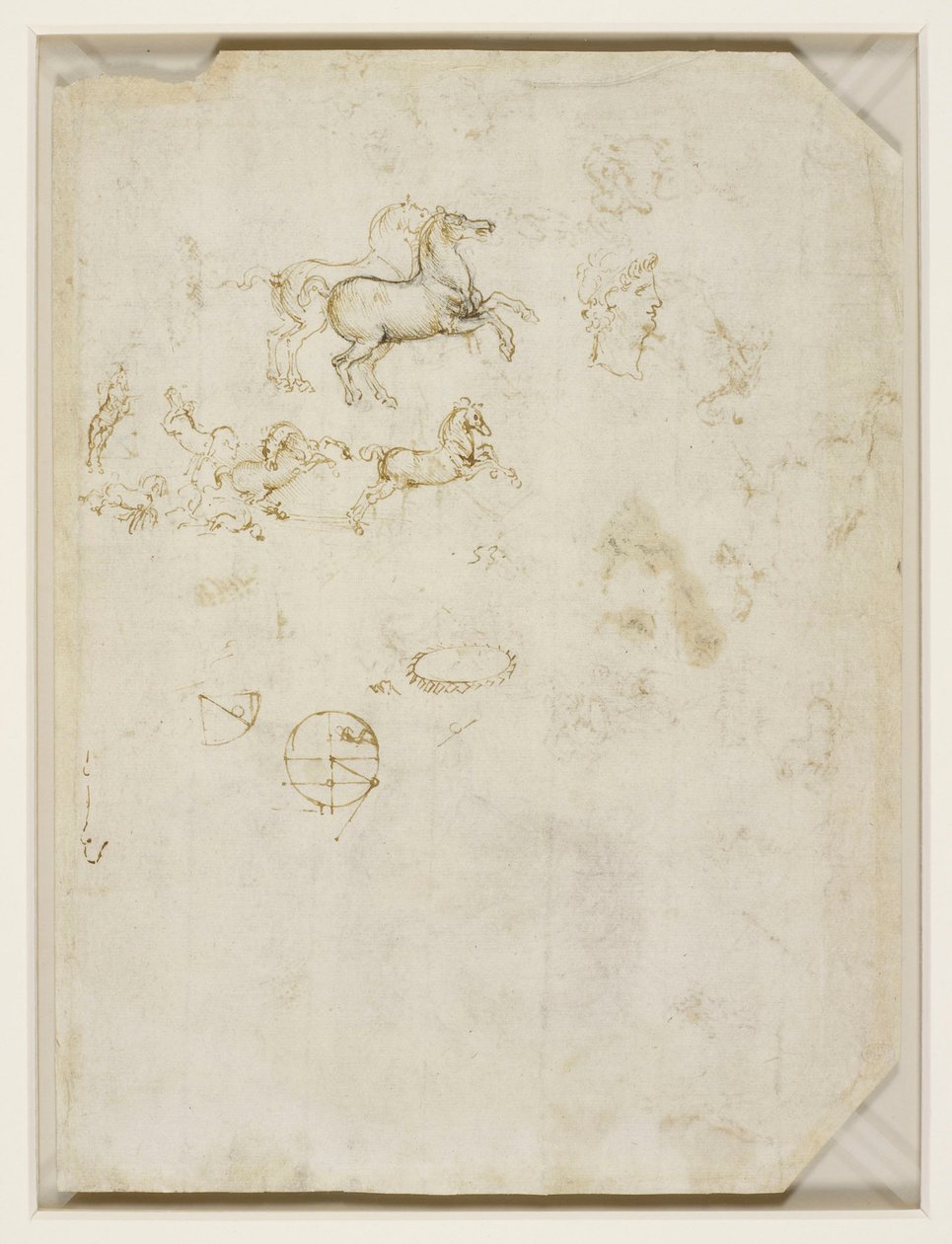  by Leonardo da Vinci