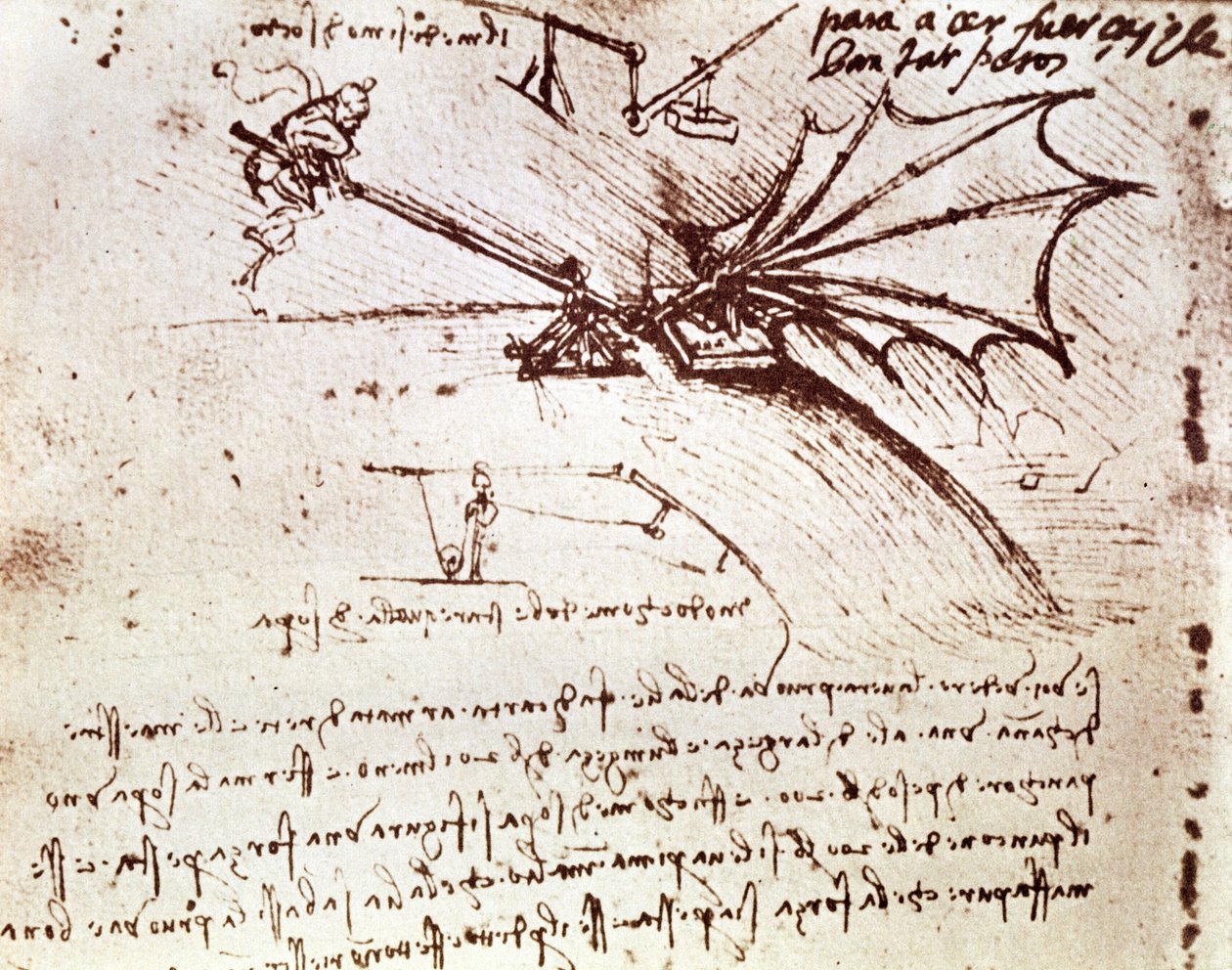MS B fol.88v Bir kanadın yük toleransını test etme by Leonardo da Vinci
