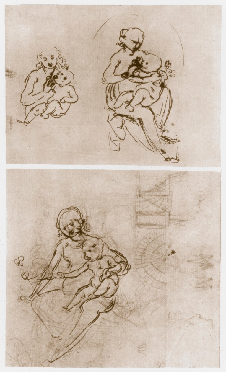 Çiçekli Madonna, c1478. by Leonardo da Vinci