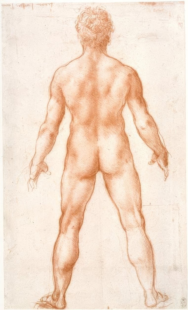 Erkek çıplak arkadan by Leonardo da Vinci