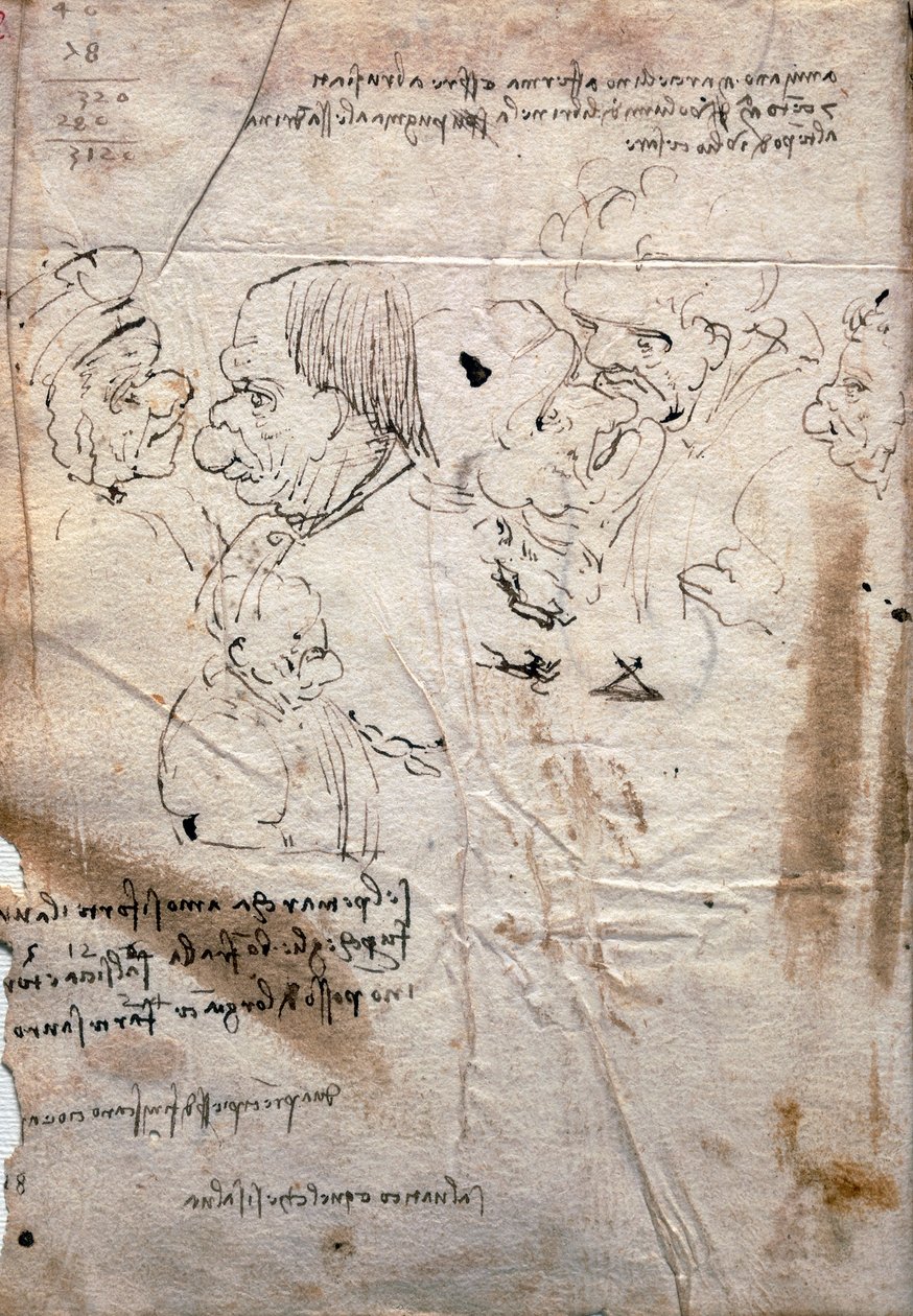 Erkek karikatürleri ve kütüphane listesi, Codex Trivulzianus by Leonardo da Vinci