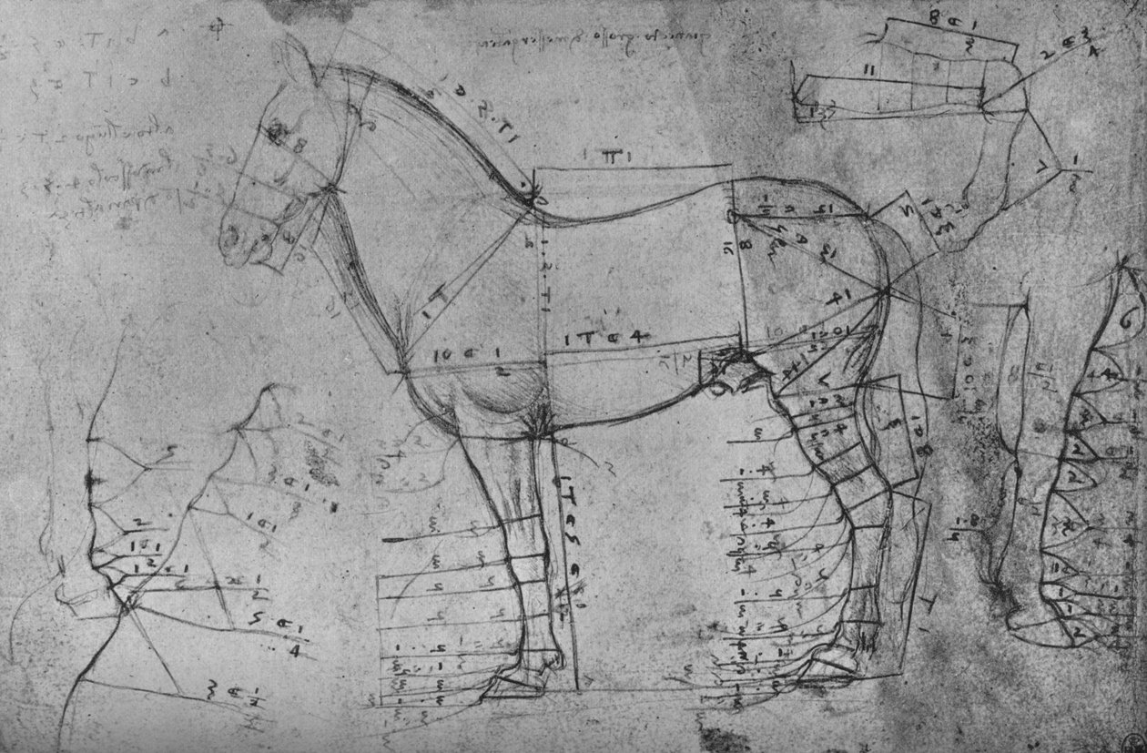 Sol Profildeki Bir Atın Ölçülü Çizimi, c1480 1945 by Leonardo da Vinci
