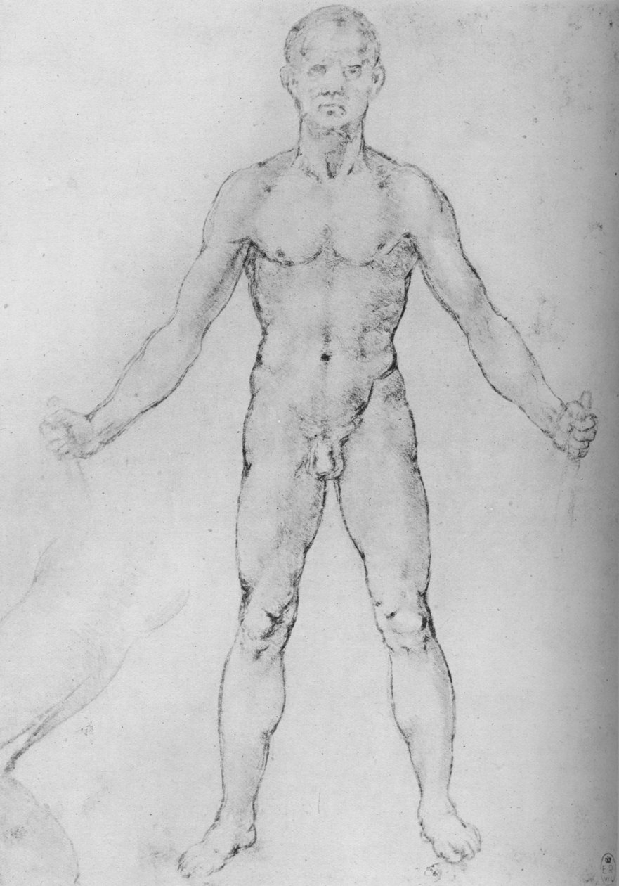 Çıplak Adam Kollarını Uzatmış, Önden Görünüş, c1480 1945 by Leonardo da Vinci