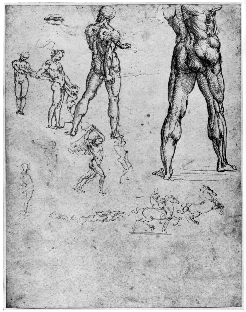 Anghiari Savaşı için çıplak çalışmalar, c1503-1505 1954 by Leonardo da Vinci