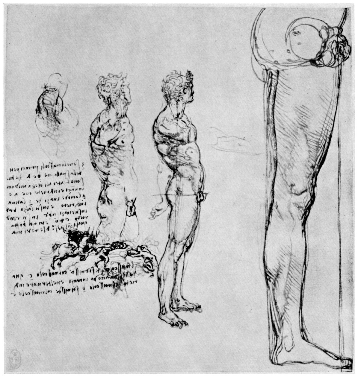 Anghiari Savaşı için çıplak çalışmalar, c1503-1505 1954 by Leonardo da Vinci