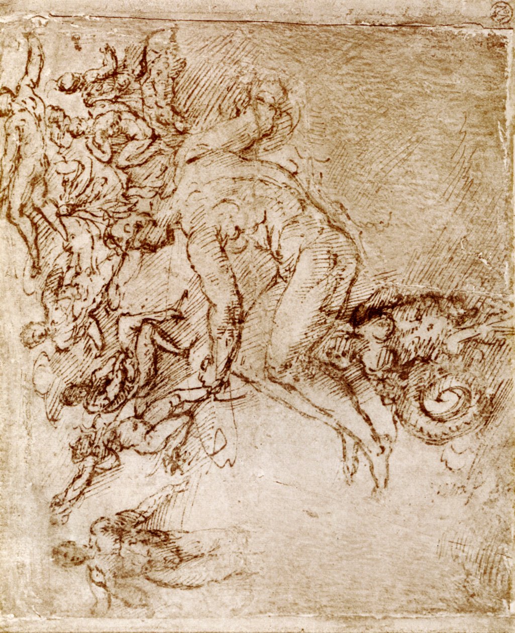 Leonardo Da Vinci