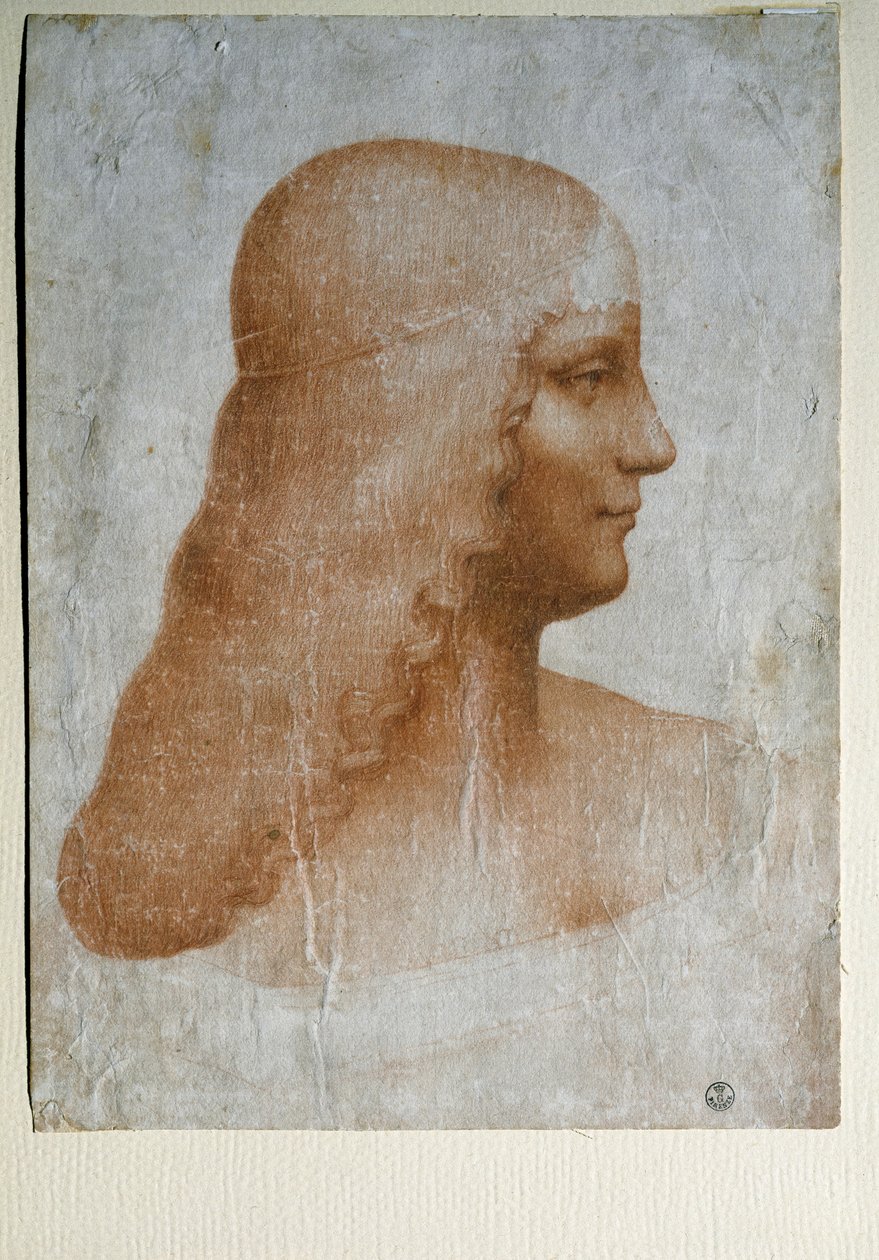 Isabella d