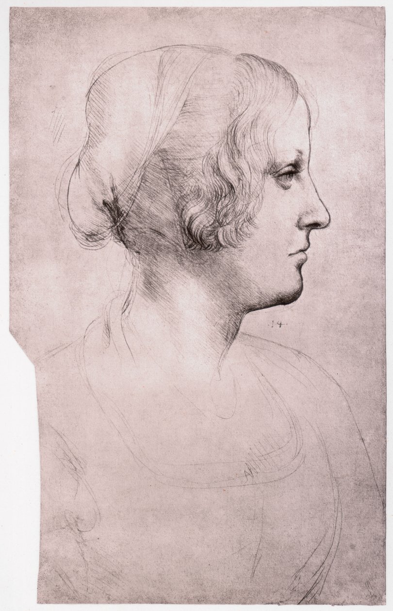 Şapkalı Kız Portresi, 1493-1495 by Leonardo da Vinci