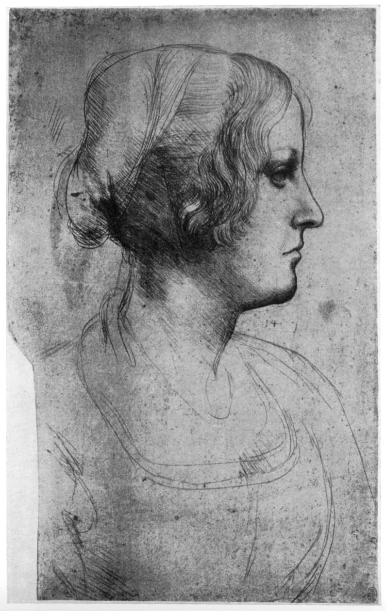Bir genç kız kafasının portre çalışması, 15. yüzyıl 1954. by Leonardo da Vinci
