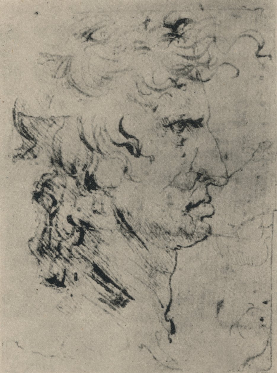 Sağdaki Bir Adamın Profili, c1480 1945 by Leonardo da Vinci