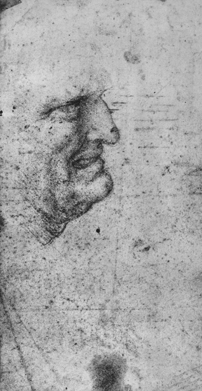 Dişleri Sıkılmış Bir Adamın Profili, c1480 1945 by Leonardo da Vinci