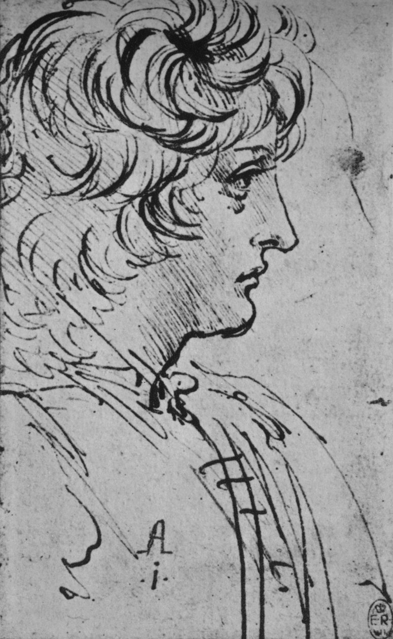Sağdaki Bir Gençliğin Profili, c1480 1945 by Leonardo da Vinci
