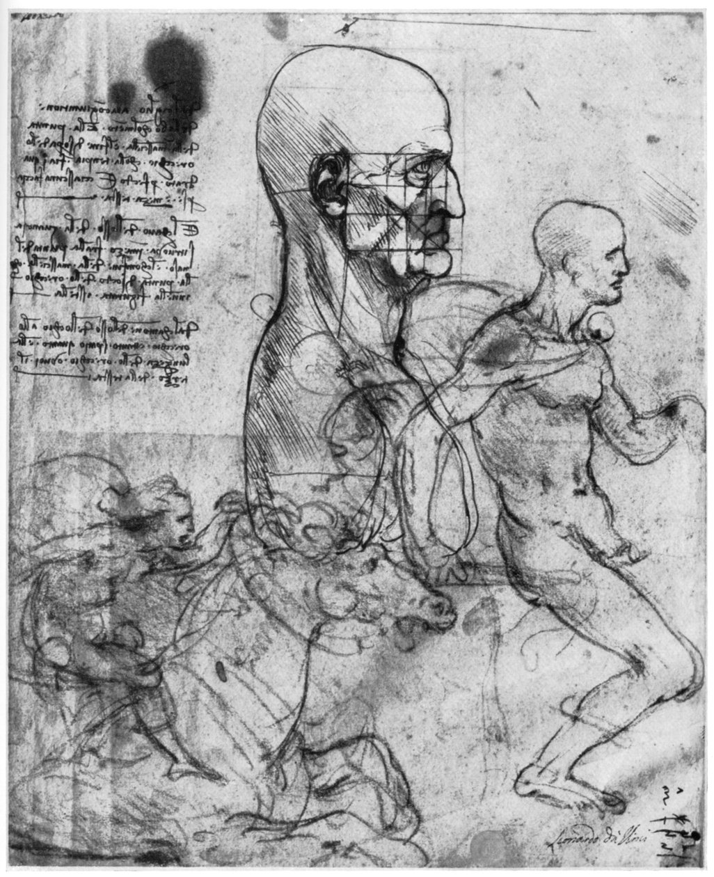 Bir adamın kafasının profili ve iki binicinin çalışmaları, c1490 ve c1504 1954. by Leonardo da Vinci
