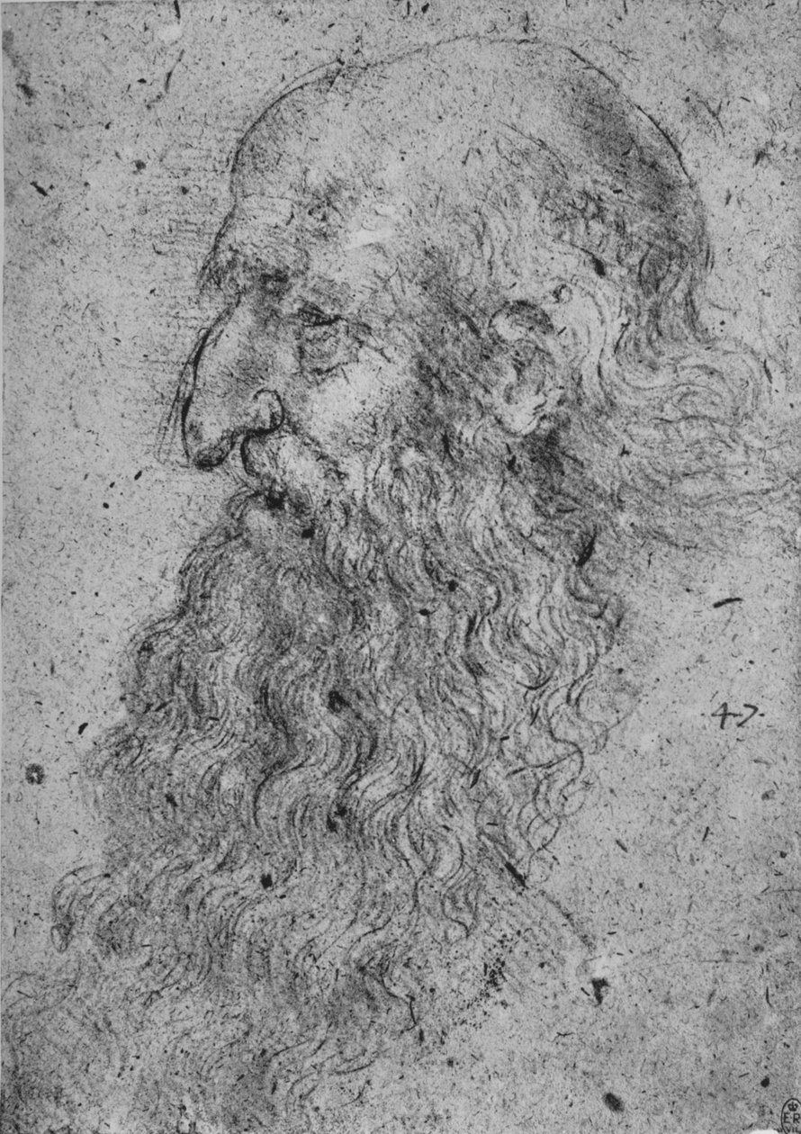 Soldaki Yaşlı, Sakallı Bir Adamın Profili, c1480 1945 by Leonardo da Vinci