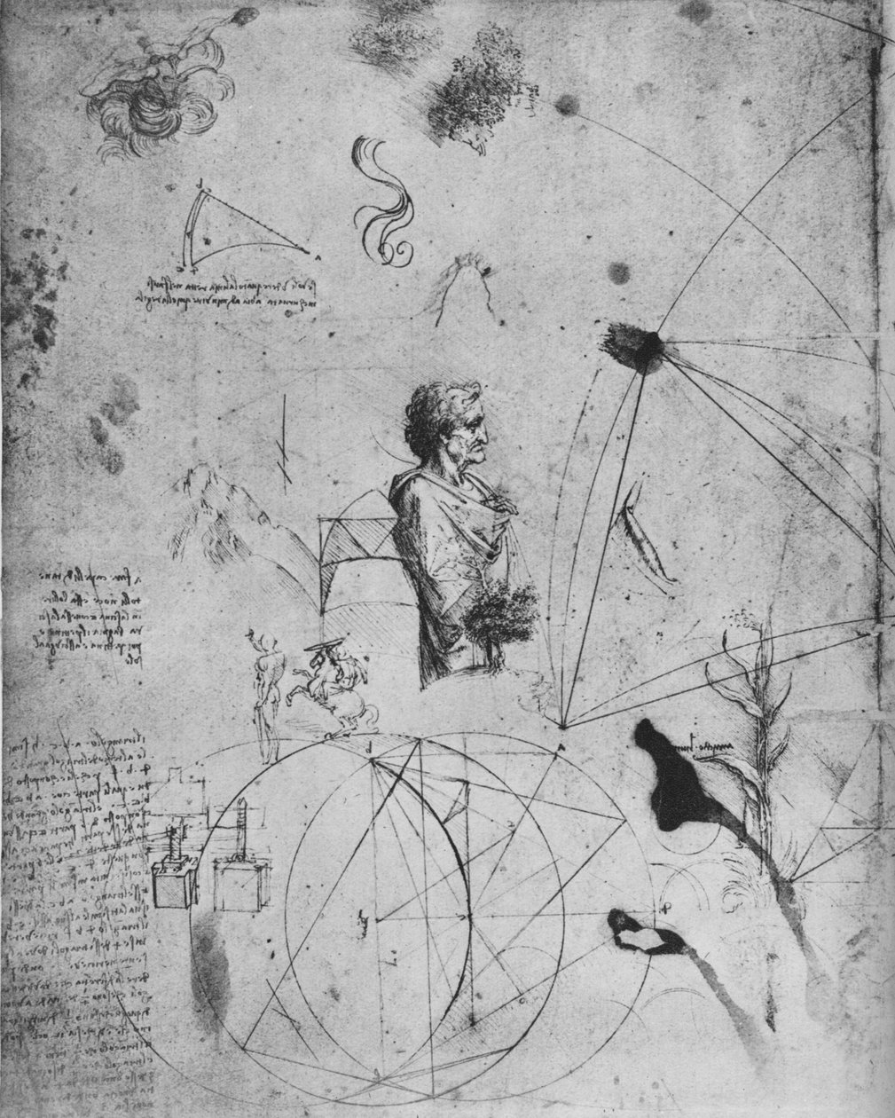 Yaşlı Bir Adamın Profili, Bitkiler, Geometrik Figürler, Vb., c1480 1945 by Leonardo da Vinci