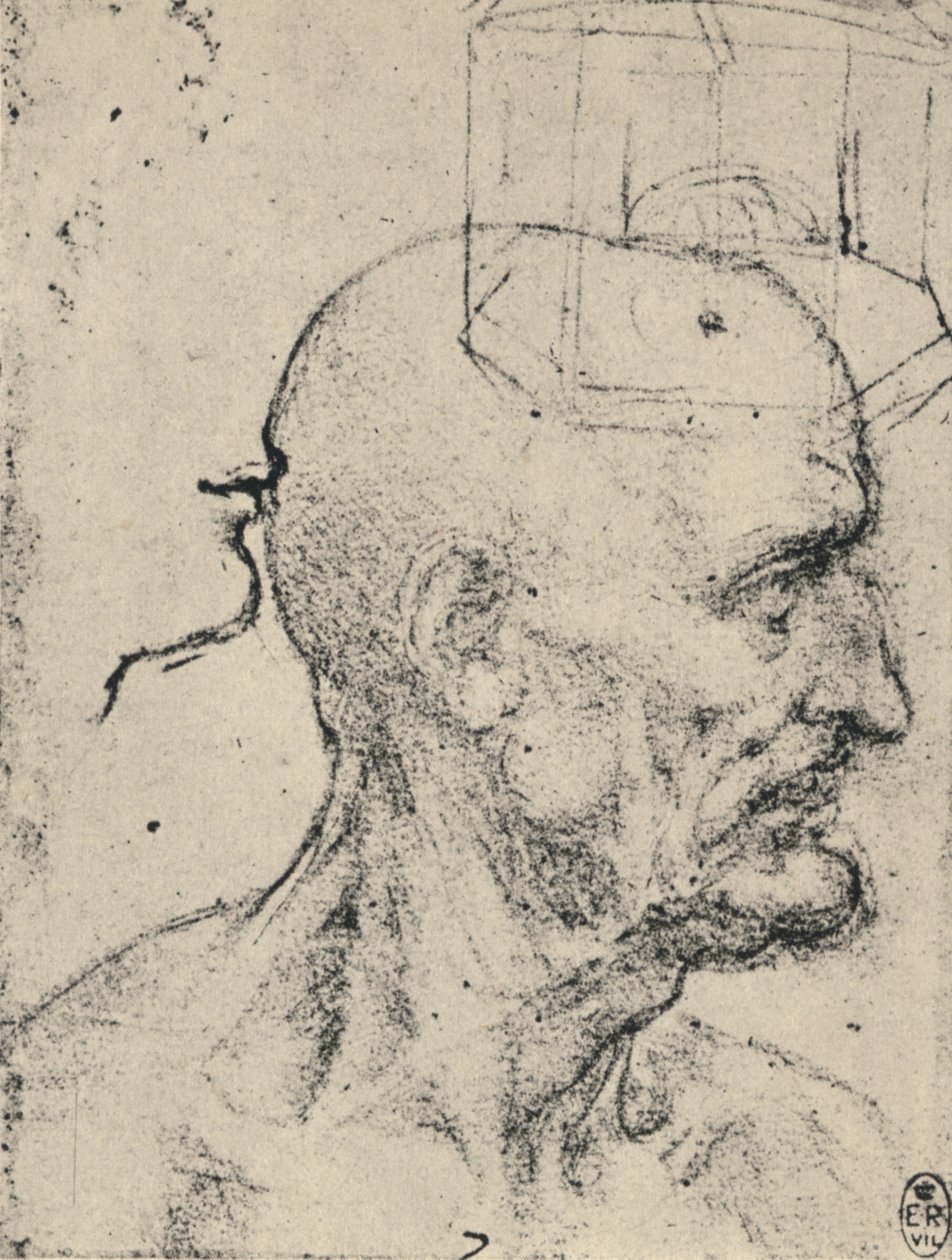 Kel Bir Adamın Sağındaki Profil, c1480 1945 by Leonardo da Vinci
