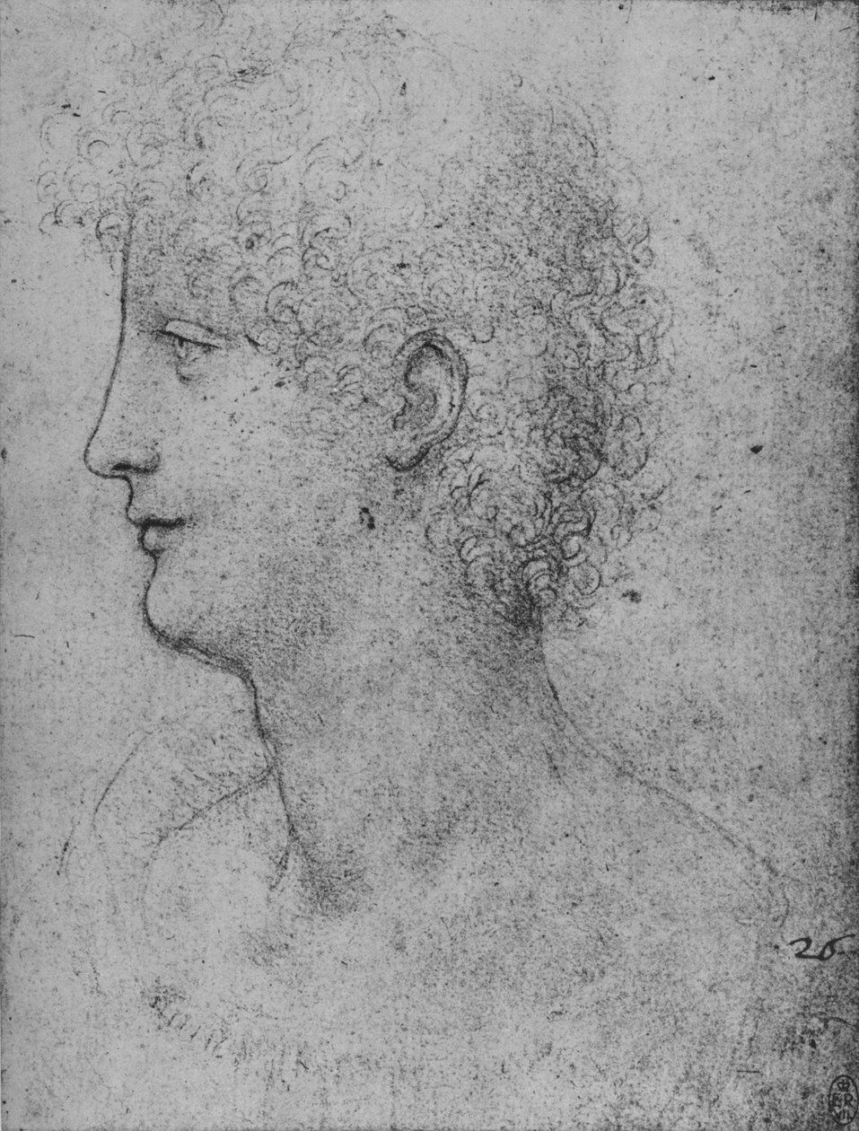 Kıvırcık Kafalı Bir Gençin Soldaki Profili, c1480 1945 by Leonardo da Vinci