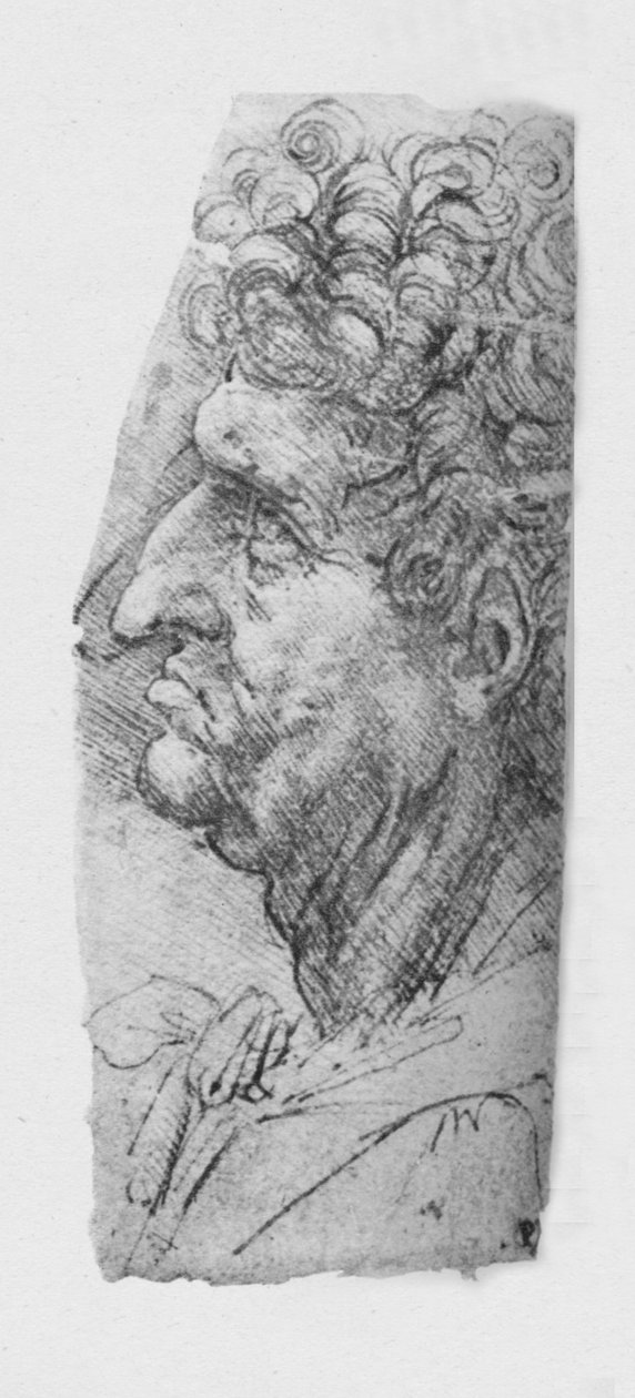 Kıvırcık Saçlı Yaşlı Bir Adamın Solundaki Profil, c1480 1945 by Leonardo da Vinci