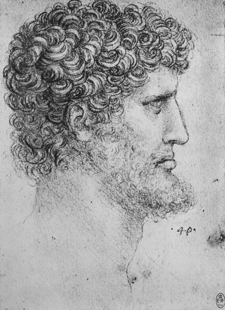 Sakallı Bir Adamın Sağındaki Profil, c1480 1945 by Leonardo da Vinci